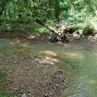 Coler Creek Drainage Study