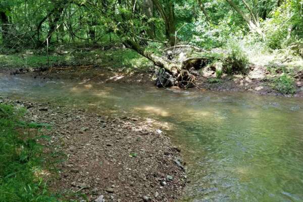 Coler Creek Drainage Study